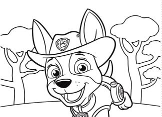 Zabawa pieska z bajki Paw Patrol kolorowanka