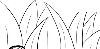 Kolorowanki Dżdżownica Zabawny stworek niesie wodę w trawie kolorowanka