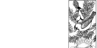 Kolorowanki Litera J