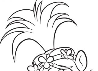 Kolorowanki Trolle Zadowolona dziewczyna z warkoczem o imieniu Poppy