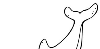 Kolorowanki Morświn Zadwolonony ssak pływający w wodzie