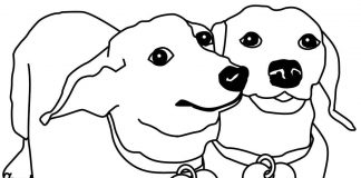 Kolorowanki Jamnik Zakochana para psów