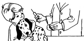 Kolorowanki Weterynarz