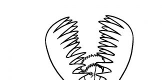 Kolorowanki Akatsuki Zetsu z Akatsuki