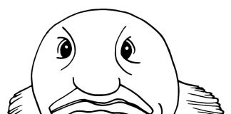 Kolorowanki Blobish Zła ryba wybudzona ze snu