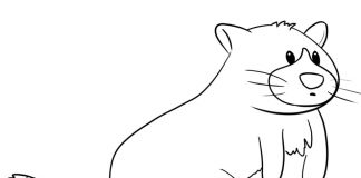 Kolorowanki Tree Kangaroo