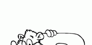 Kolorowanki Litera B