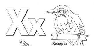 Kolorowanki Litera X