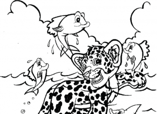 Kolorowanki Lisa Frank